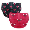 [Co.Protect] NBA Mask - Chicago Bulls - Disposable Mask (2 Designs, 5 each)